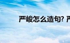 严峻怎么造句? 严峻的解释及造句