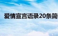 爱情宣言语录20条简短 爱情宣言语录20条