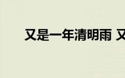 又是一年清明雨 又是一年清明时古诗