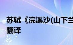 苏轼《浣溪沙(山下兰芽短浸溪)》阅读答案及翻译