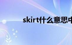 skirt什么意思中文 skirt的意思