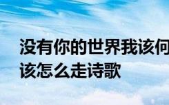 没有你的世界我该何去何从 没有你的世界我该怎么走诗歌