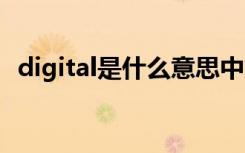 digital是什么意思中文 digital是什么意思