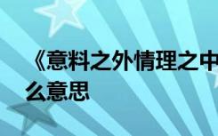 《意料之外情理之中》 意料之外情理之中什么意思