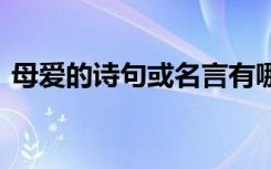 母爱的诗句或名言有哪些 母爱的诗句或名言