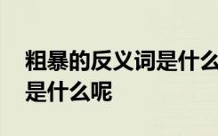 粗暴的反义词是什么呢二年级 粗暴的反义词是什么呢