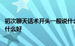 初次聊天话术开头一般说什么好呢 初次聊天话术开头一般说什么好