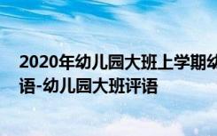 2020年幼儿园大班上学期幼儿评语 幼儿园大班学期幼儿评语-幼儿园大班评语