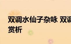 双调水仙子杂咏 双调水仙子舟中元曲原文及赏析