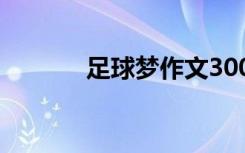 足球梦作文300字 足球梦作文