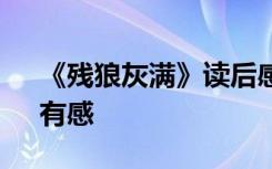 《残狼灰满》读后感400字 读《残狼灰满》有感