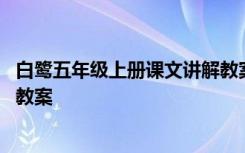 白鹭五年级上册课文讲解教案 五年级语文《灰椋鸟》课文及教案