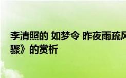 李清照的 如梦令 昨夜雨疏风骤 李清照《如梦令昨夜雨疏风骤》的赏析