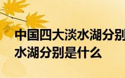 中国四大淡水湖分别是什么名称 中国四大淡水湖分别是什么