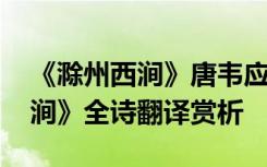 《滁州西涧》唐韦应物的诗 韦应物《滁州西涧》全诗翻译赏析