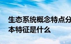 生态系统概念特点分类 生态系统的概念和基本特征是什么