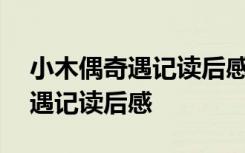 小木偶奇遇记读后感300字怎么写 小木偶奇遇记读后感