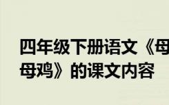 四年级下册语文《母鸡》课文 四年级上册《母鸡》的课文内容