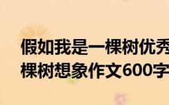 假如我是一棵树优秀作文600字 假如我是一棵树想象作文600字