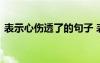 表示心伤透了的句子 表达心伤了的伤感句子