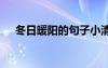 冬日暖阳的句子小清新 冬日暖阳的句子