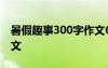 暑假趣事300字作文6篇 暑假的趣事300字作文