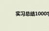 实习总结1000字 实习自我总结