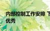 内部控制工作安排 下一步内部控制工作计划优秀