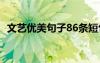 文艺优美句子86条短句 文艺优美句子86条