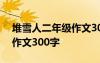 堆雪人二年级作文300字以上 堆雪人二年级作文300字