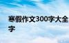 寒假作文300字大全30篇可抄 寒假作文300字