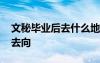 文秘毕业后去什么地方工作 文秘毕业生就业去向