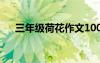 三年级荷花作文100字 三年级荷花作文