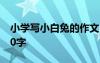 小学写小白兔的作文 小学生写小白兔作文400字