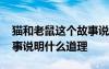 猫和老鼠这个故事说明了什么 猫和老鼠的故事说明什么道理