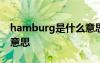 hamburg是什么意思中文 hamburg是什么意思