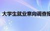 大学生就业意向调查报告总结 调查报告总结