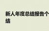 新人年度总结报告个人 新人个人年终工作总结