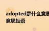 adopted是什么意思中文 admitted是什么意思短语