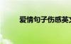 爱情句子伤感英文 爱情句子 伤感