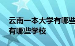 云南一本大学有哪些学校公办 云南一本大学有哪些学校