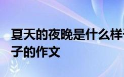 夏天的夜晚是什么样子? 夏天的夜晚是什么样子的作文