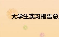 大学生实习报告总结 大学生实习总结