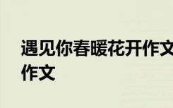 遇见你春暖花开作文400字 遇见你春暖花开作文