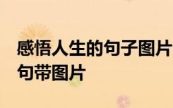 感悟人生的句子图片 人生哲理 感悟人生的语句带图片