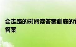 会走路的树阅读答案驯鹿的爸爸有什么品质 会走路的树阅读答案