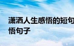 潇洒人生感悟的短句说说 人生潇洒的经典感悟句子