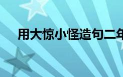 用大惊小怪造句二年级 用大惊小怪造句