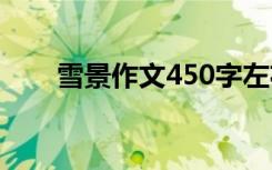 雪景作文450字左右 雪景作文450字