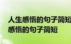 人生感悟的句子简短的说说心情短语 对人生感悟的句子简短